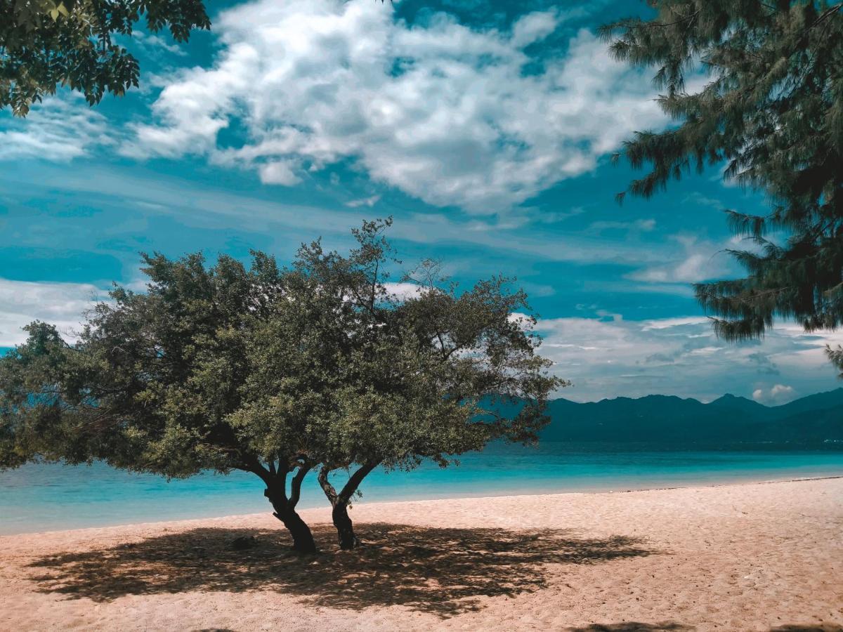 Villa Sea La Vie Private Pool Gili Meno Εξωτερικό φωτογραφία